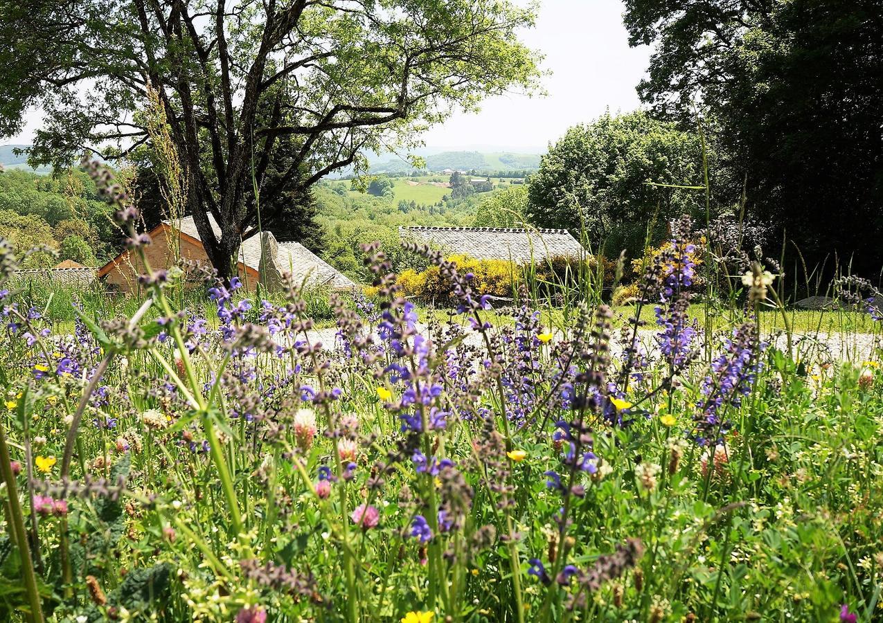 Domaine Des Marequiers Chambre Pimprenelle Saint-Germain-du-Teil Екстериор снимка