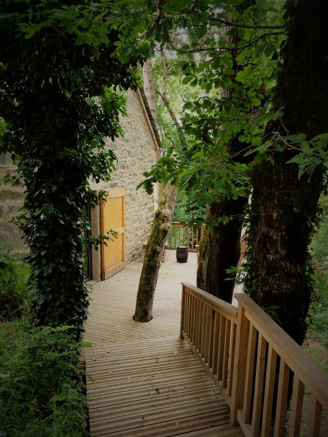Domaine Des Marequiers Chambre Pimprenelle Saint-Germain-du-Teil Екстериор снимка