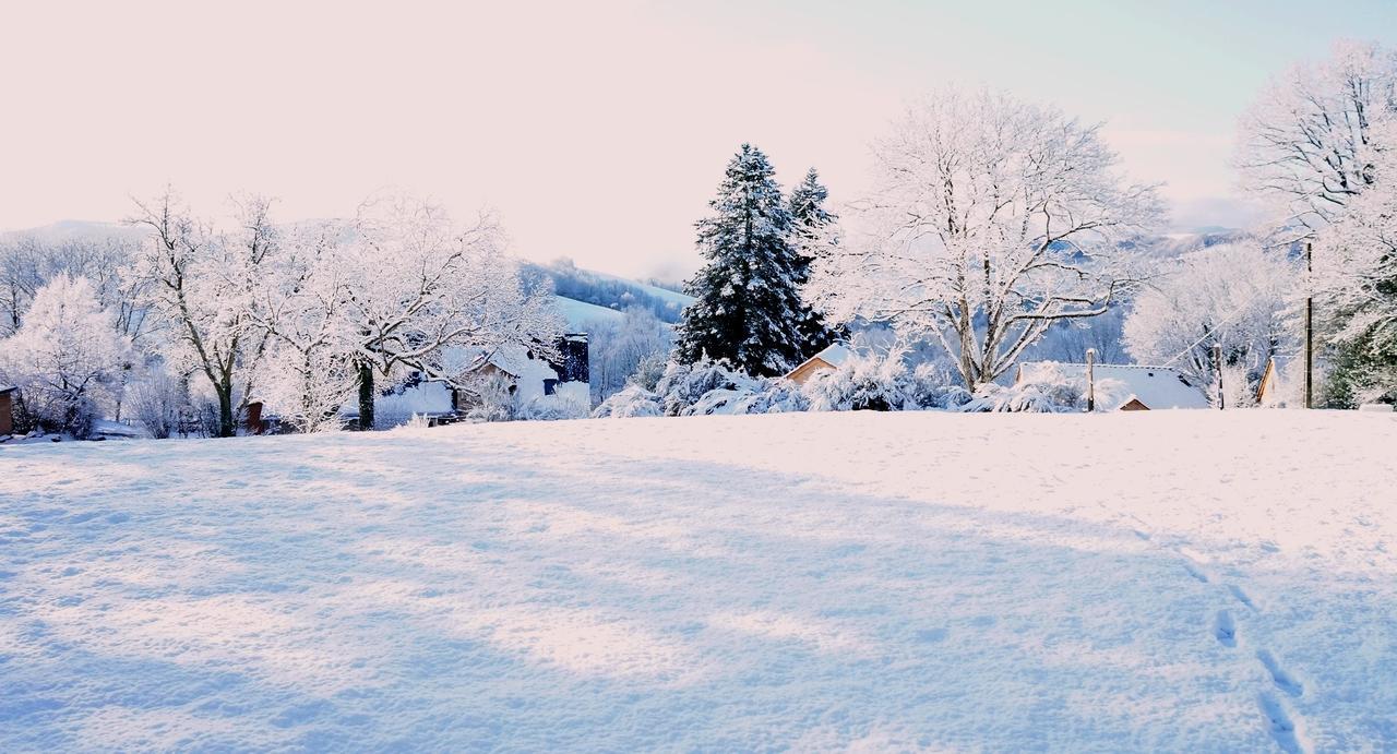 Domaine Des Marequiers Chambre Pimprenelle Saint-Germain-du-Teil Екстериор снимка