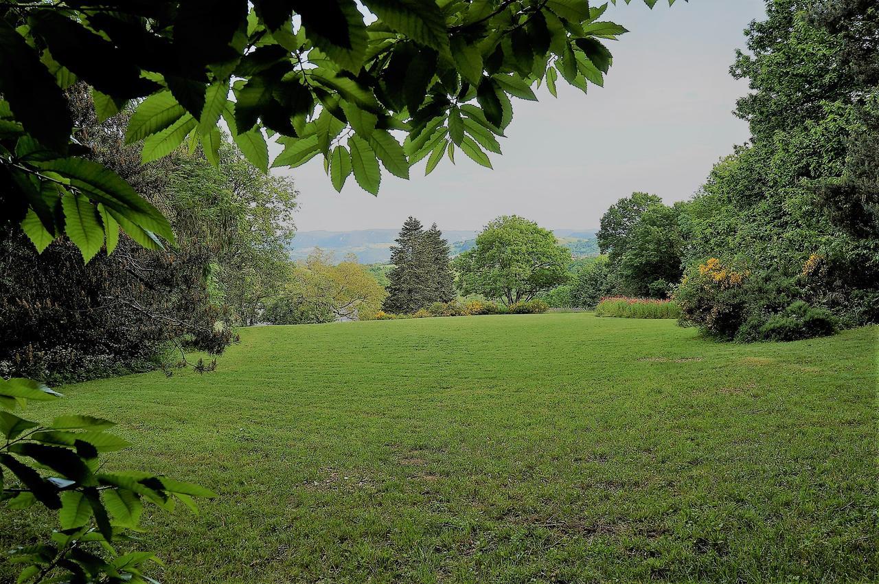 Domaine Des Marequiers Chambre Pimprenelle Saint-Germain-du-Teil Екстериор снимка
